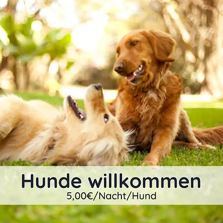 Holiday home Dolcevita - Mit Eingezaeuntem Garten - Wlan - 2 Terrassen - Gern Mit Hund