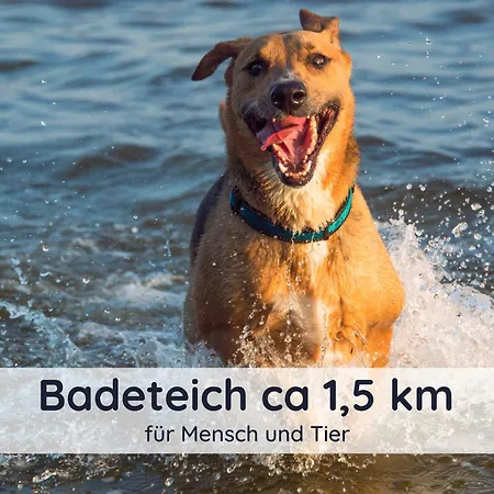 Dolcevita - Mit Eingezaeuntem Garten - Wlan - 2 Terrassen - Gern Mit Hund Walkenried